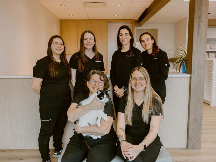 Clinique vétérinaire St-Louis-de-Gonzague
