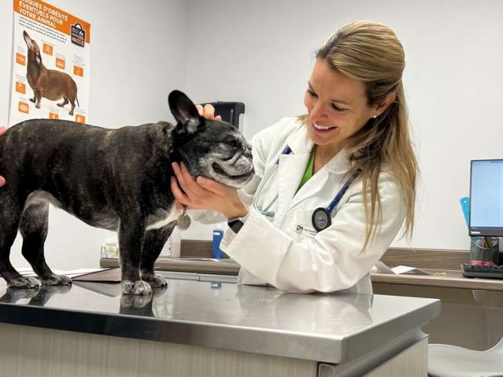 Clinique vétérinaire St-Hyacinthe