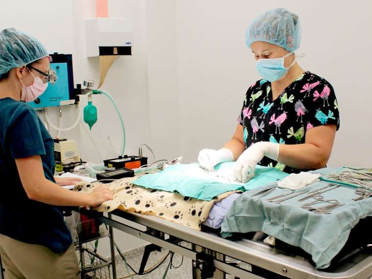 Hôpital vétérinaire de la Prairie