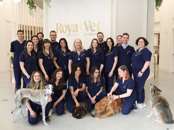 Royal Vet