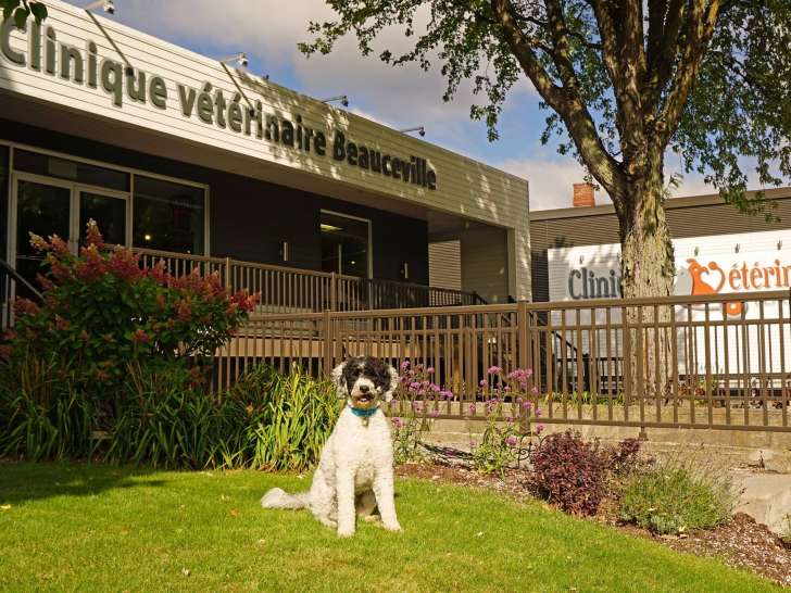 Clinique vétérinaire Beauceville