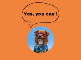 Chez Moondog, "yes, you can" devient le mantra pour tous les participants, à quatre pattes comme à deux ! ????????