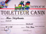 Diplôme: Certificat de toiletteur canin avec mention trés bien