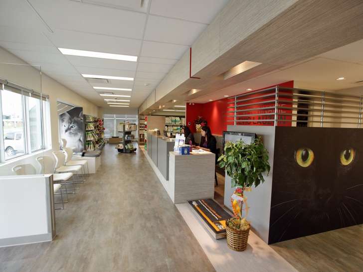 Clinique vétérinaire Lévis-Lauzon