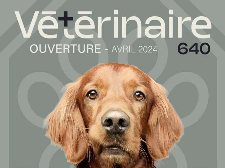 Vétérinaire 640