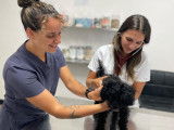 Clinique vétérinaire Liesse