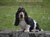 Du Domaine de Léon de la Seille