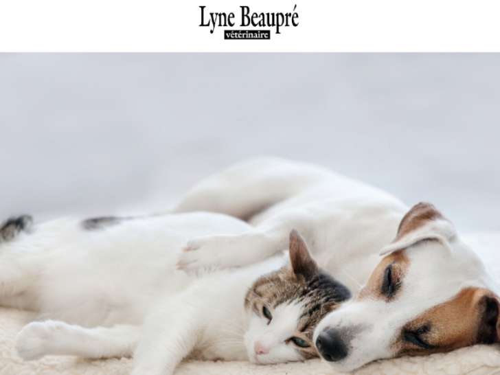 Clinique vétérinaire Lyne Beaupré