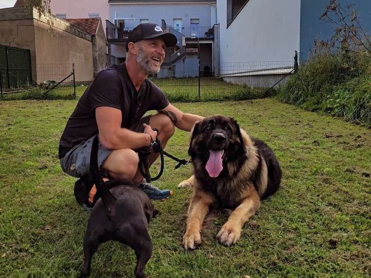 Abc Dog Center