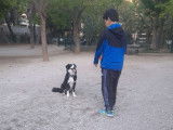 Cani Friendly