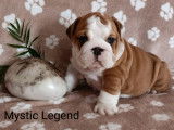 Mystic Legend