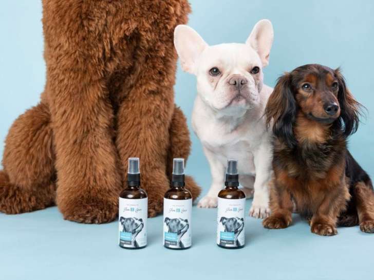 Institut Glam Canin