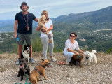 Dog Pawsitiv'Training