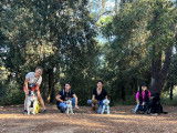 Dog Pawsitiv'Training