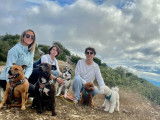 Dog Pawsitiv'Training