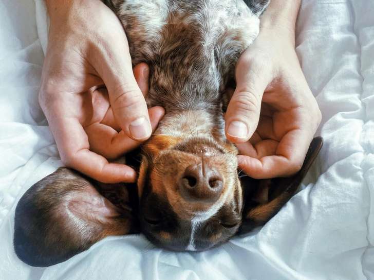 Transzendenz Coaching