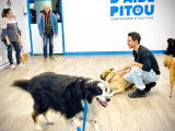 Besoin d'aide pitou