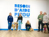 Besoin d'aide pitou