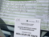 Maltot 14/7/2024 CACS Meilleur de race 1er exc
