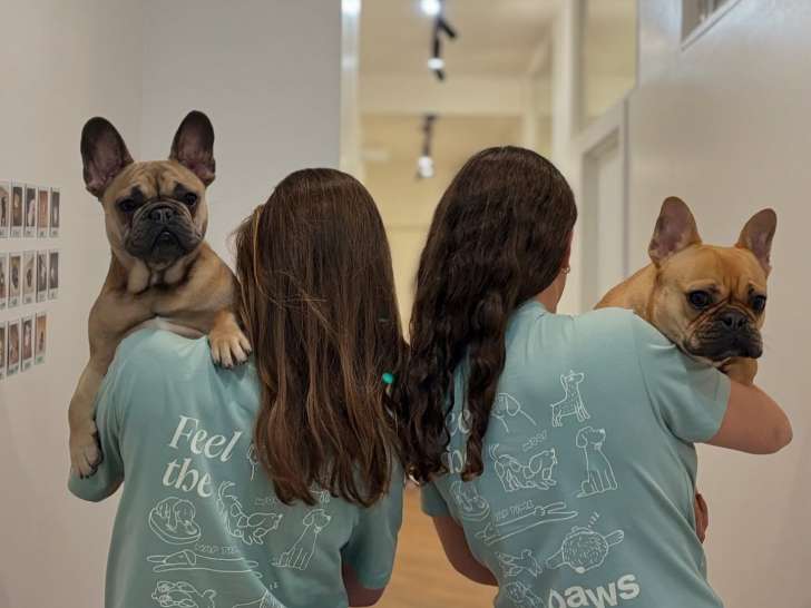 Urban Dogs