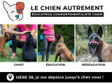 Le chien autrement - Éducatrice Canin Diplômée