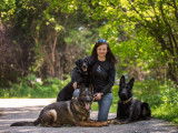 Division Canine