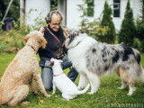 Un Homme et des Chiens
