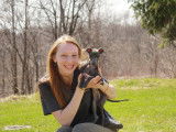 Comportement Animal Providence