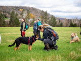 Comportement Animal Providence