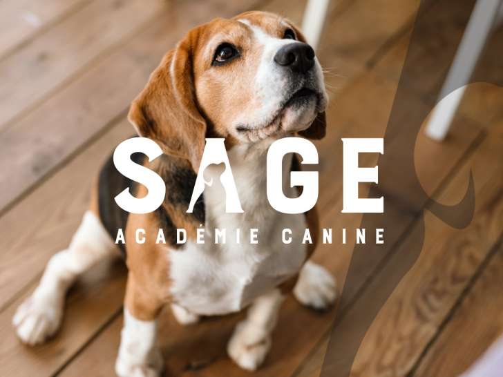 Sage académie canine