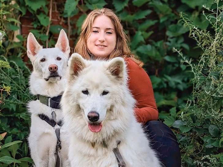 Bonté Canine