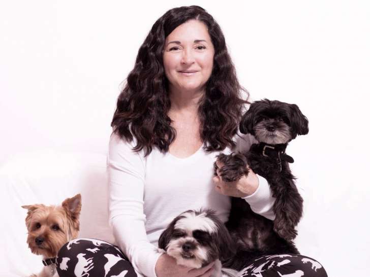 Quand les chiens s'emmêlent