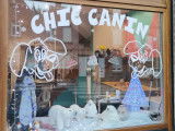 Chic Canin