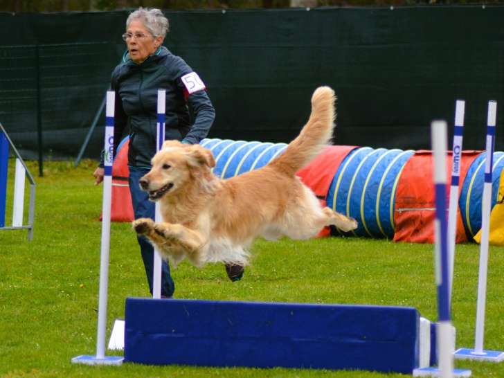 Du Mazage De Mascayenne