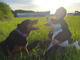 Chris Dog World