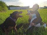 Chris Dog World