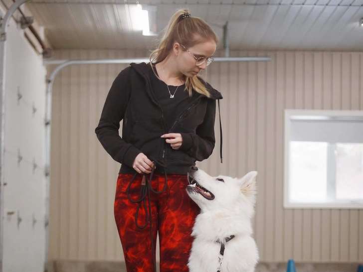 Professionnel Légitime Canin