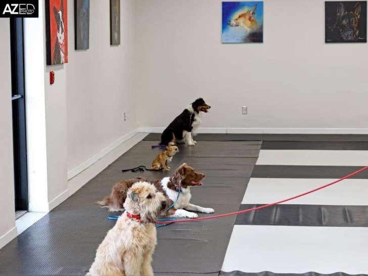 Passion Canin