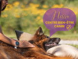 Nessa Centre Bien-être Canin