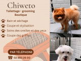 Chiweto