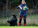 Frisbee Canin Laurentides