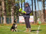Frisbee Canin Laurentides