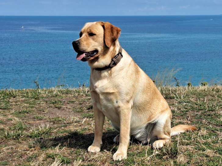 L'Étang des Vignerons