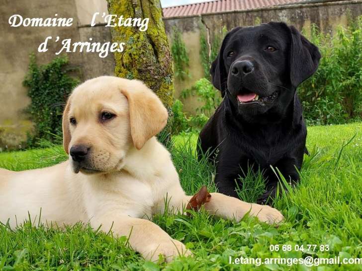 Domaine de l'Etang d'Arringes
