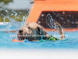 Cani Splash Lanaudière