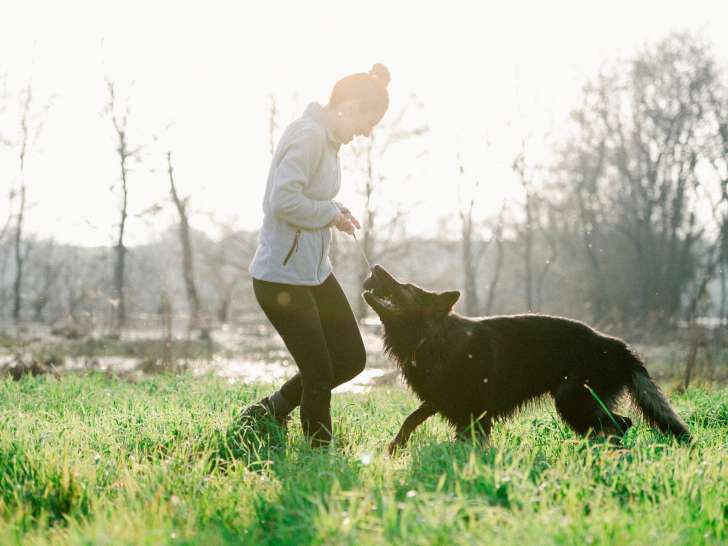 Dog'N You