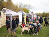 Sports Canins Attelés Québec (SCAQ)