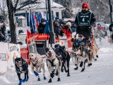 Mushers et Athlètes Canins du Québec (MACQ)