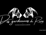 Des Gardiennes de Reves