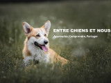 Entre Chiens Et Nous